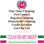 CLEAN HEART GROUP